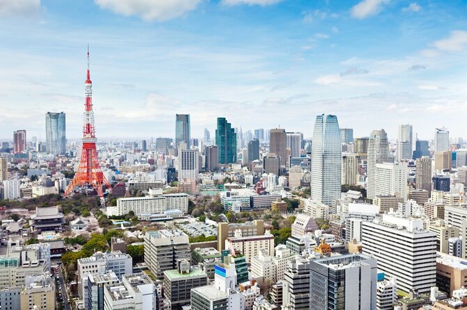Tokyo 8hr Private Tour with Government-Licensed Guide - 8 hours in Tokyo: how you keep it fun instead of exhausting
