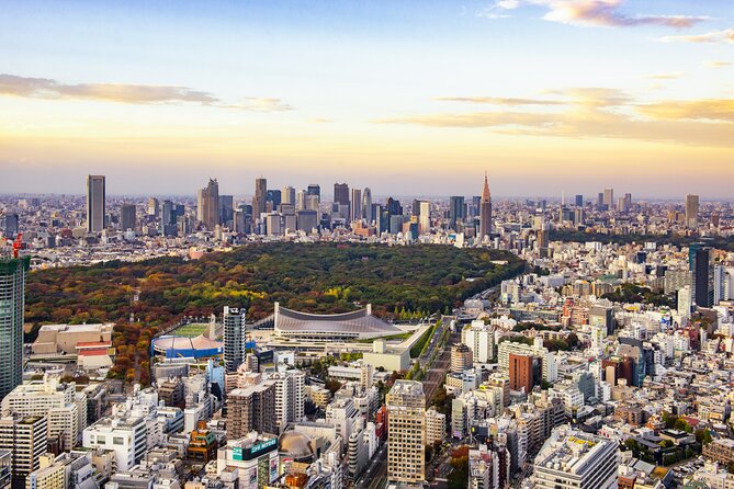 Tokyo 8hr Private Tour with Licensed Guide from Yokohama - The private format that lets you steer the day