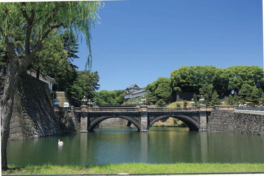 Tokyo: A Half-Day Trip Bus Tour in the Morning - Key Highlights You Should Care About