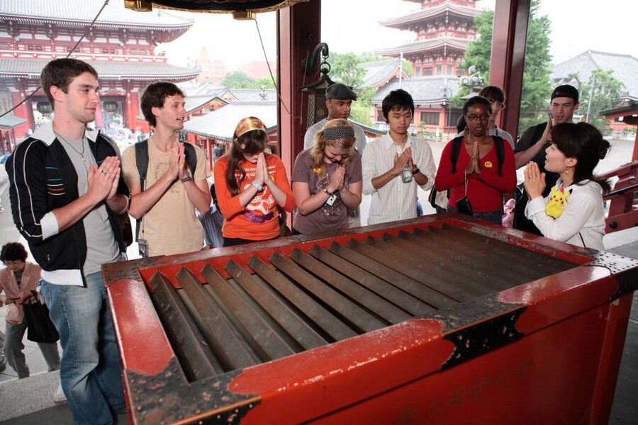 Tokyo: A Half-Day Trip Bus Tour in the Morning - What You Get, What You Don’t