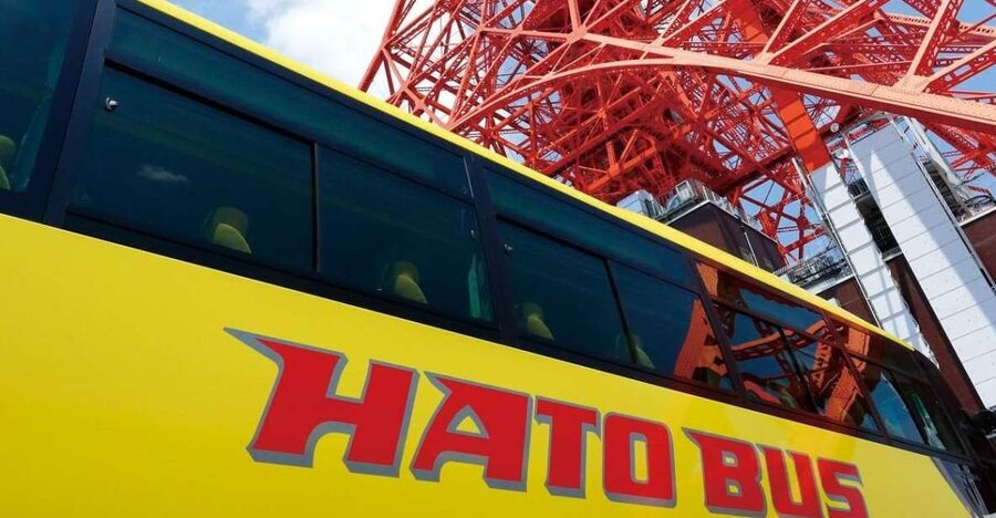 Tokyo: A Half-Day Trip Bus Tour in the Morning - Timing and Pacing: Why Short Stops Work Here