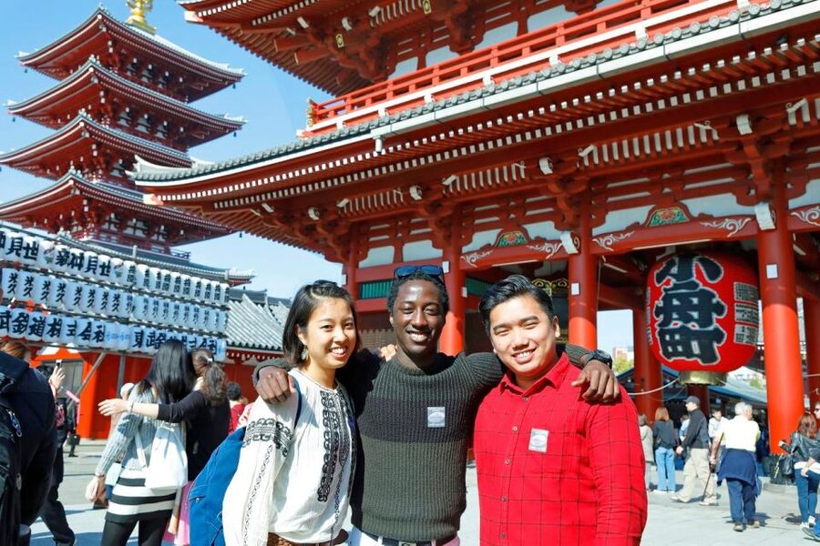 Tokyo: A Half-Day Trip Bus Tour in the Morning - Comfort, Crowds, and What to Do With Them