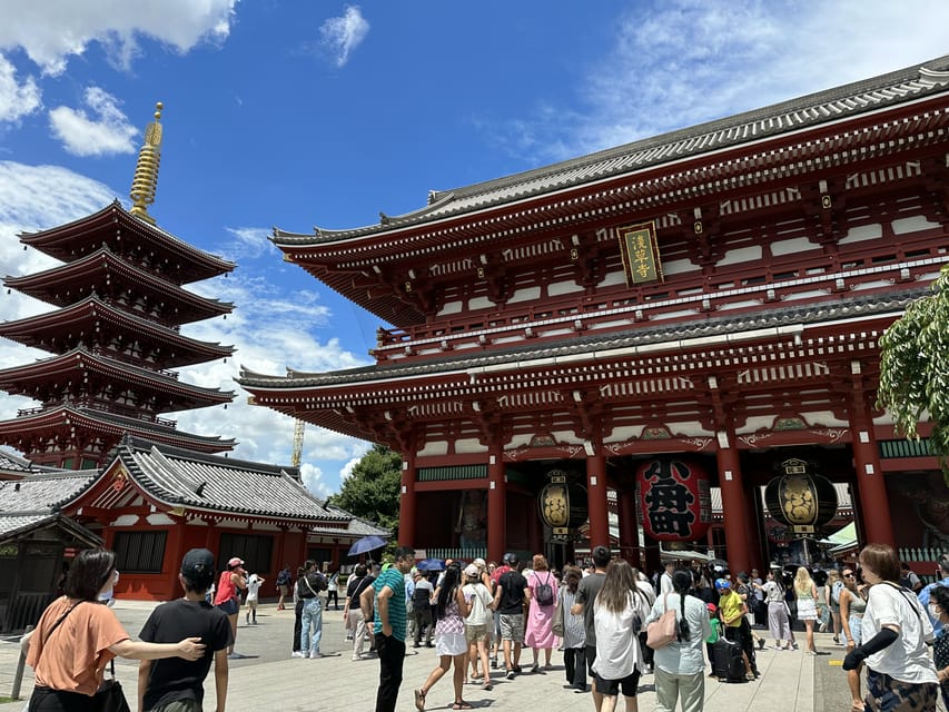 Tokyo: A Half-Day Trip Bus Tour in the Morning - How the Hybrid Bus Tour Works From Shinjuku or Tokyo Station