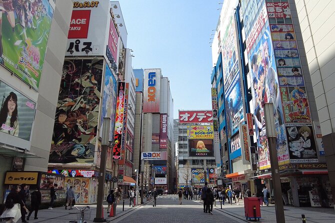 Tokyo Akihabara Anime Manga Video Games and Maid Cafe Tour - Why This Akihabara Pop-Culture Tour Fits a Busy Day