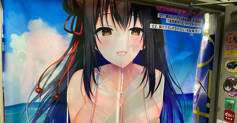 Tokyo: Akihabara Private Hentai Tour - Akihabara Station start point and how the private tour actually feels