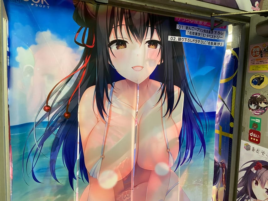 Tokyo: Akihabara Private Hentai Tour - Video games, manga, and the shopping help you do not get on your own
