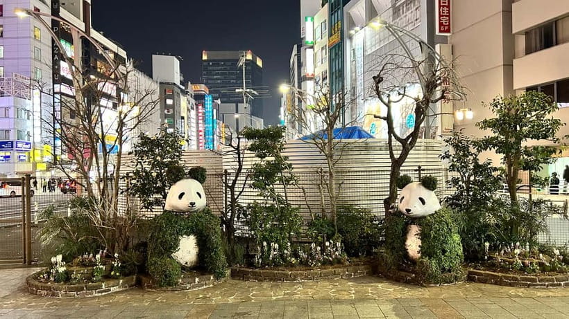 Tokyo: Akihabara, Shibuya, Karaoke & City Lights Night Tour - Key things that make this tour worth your $79