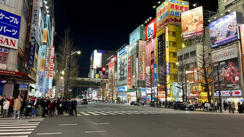 Tokyo: Akihabara, Shibuya, Karaoke & City Lights Night Tour - Price and value: what $79 covers, and where you might spend extra