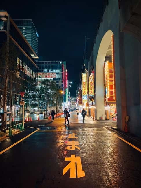 Tokyo: Akihabara, Shibuya, Karaoke & City Lights Night Tour - Guide and group vibe: what the best nights have in common