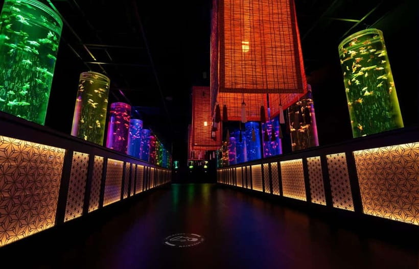 Tokyo: Art Aquarium Museum GINZA Entry Ticket - Price and value for a Ginza art-aquarium ticket