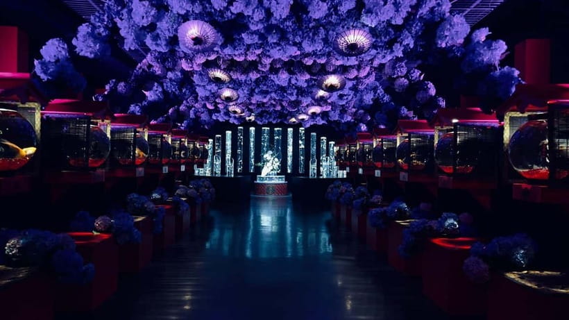 Tokyo: Art Aquarium Museum GINZA Entry Ticket - Should you book the Art Aquarium Museum GINZA ticket?