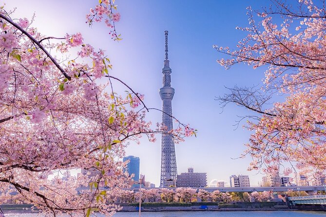 Tokyo Asakusa Half Day Walking Tour with Local Guide - Nakamise Shopping Street: snacks, crafts, and what to buy