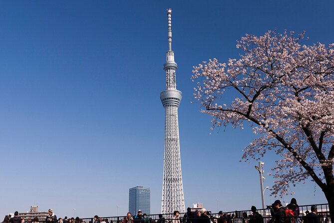 Tokyo Asakusa Half Day Walking Tour with Local Guide - Price and group size: is $61.78 a good deal?