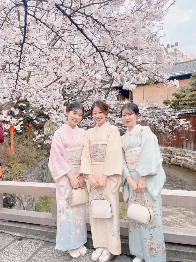 Tokyo Asakusa: Traditional Kimono Rental Experience at Wargo - What you really pay for (and what you get for about $33)