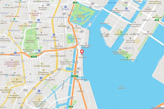Tokyo Bay Cruise Adventure with options - My booking call: should you go?