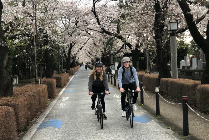 Tokyo Bike Tour: Shibuya & Hidden Tokyo - The Route in Plain English: What You’ll Actually See