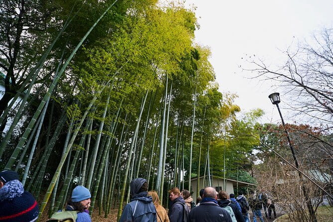 Tokyo Castle & Imperial PalaceーShogun Walking Tour - Why Edo Castle Feels Personal on a 2-Hour Walking Tour