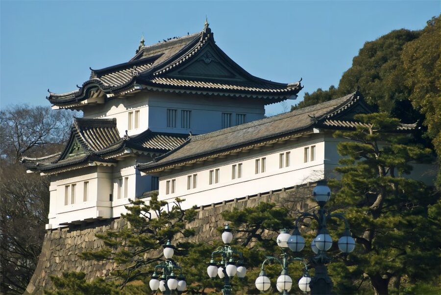Tokyo:Cherry Blossom Mt Fuji & Shibazakura Festival Day Trip - What you are really paying for: Fuji views plus one big ticket