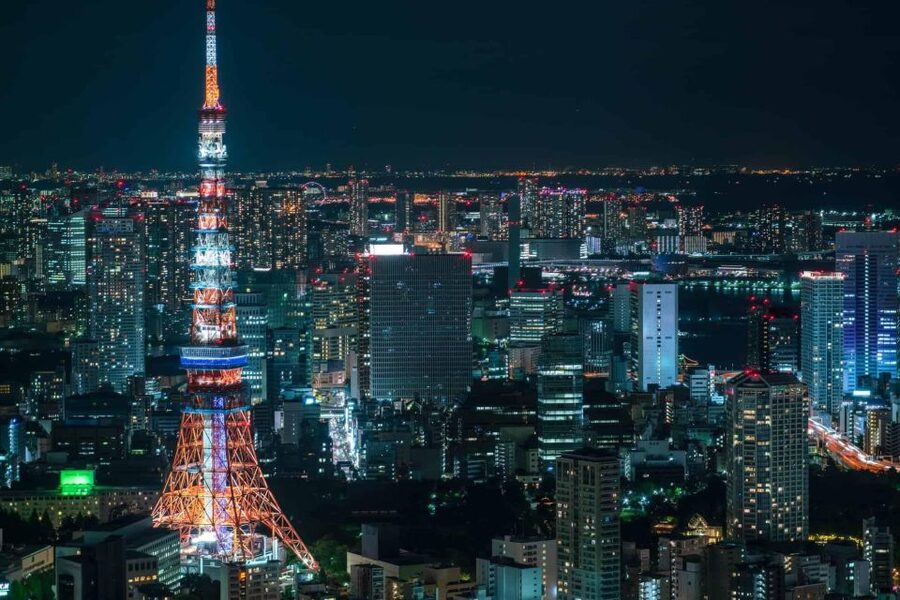 Tokyo:Cherry Blossom Mt Fuji & Shibazakura Festival Day Trip - Tour style, language help, and who should book