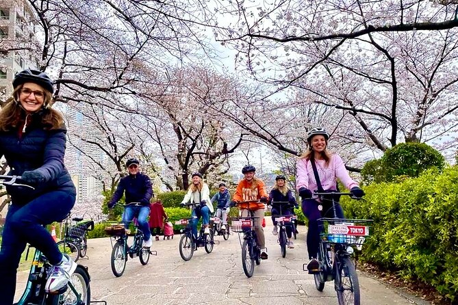 Tokyo Cherry Blossoms blooming spots E-bike Tour, 3hrs - 6 Key Things This Tokyo Cherry Blossom E-bike Tour Does Well