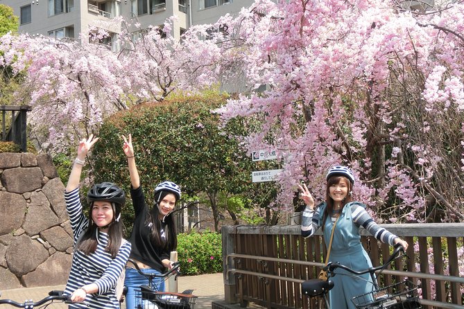 Tokyo Cherry Blossoms blooming spots E-bike Tour, 3hrs - Price Value: What About $64.57 Includes (And Why It Adds Up)