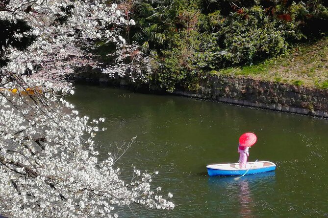 Tokyo Cherry Blossoms blooming spots E-bike Tour, 3hrs - Chidorigafuchi: The First Bloom Moment That Sets the Tone