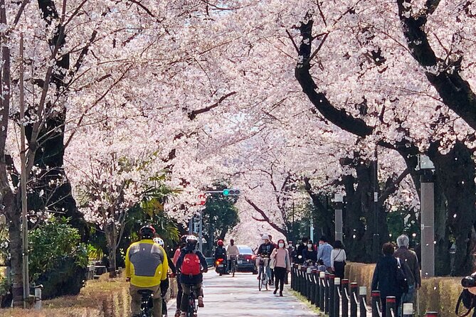 Tokyo Cherry Blossoms blooming spots E-bike Tour, 3hrs - Yasukuni Shrine: Short Walk Time for a More Personal Feel