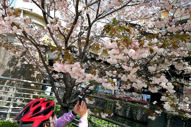 Tokyo Cherry Blossoms blooming spots E-bike Tour, 3hrs - Sotobori Park: The Moat Side Views You Get Only by Bike