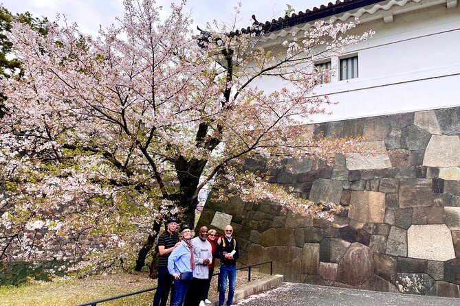 Tokyo Cherry Blossoms blooming spots E-bike Tour, 3hrs - Hibiya Park: A Fast Photo Pass Between Big Moments