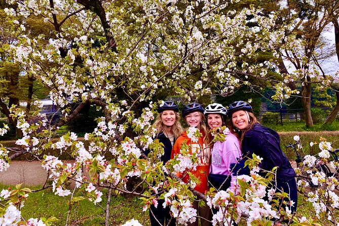 Tokyo Cherry Blossoms blooming spots E-bike Tour, 3hrs - Meeting at Kanda: Quick Start, Easy Access