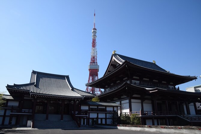 Tokyo City 1-Day Private Tour with Bilingual Driver - Shibuya, Harajuku, and Takeshita Street, where fashion meets fast feet