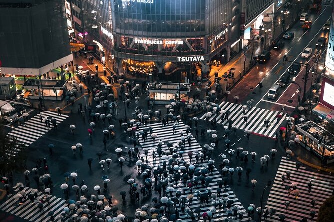 Tokyo City 1-Day Private Tour with Bilingual Driver - How the bilingual driver experience really works