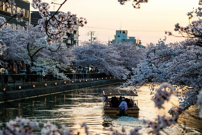Tokyo City Adventures Private English Tour With Hotel Pickup - Key highlights at a glance