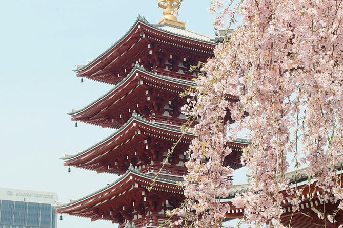 Tokyo City Adventures Private English Tour With Hotel Pickup - Imperial Palace: an hour of calm structure and Edo Castle context (free)