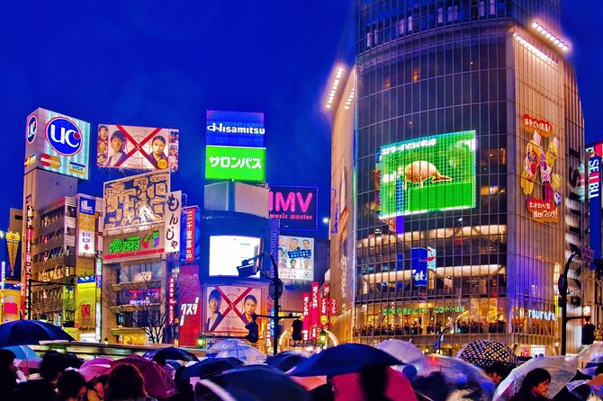 Tokyo City Night View Tour with Native Japanese Driver - Who This Night Tour Suits Best (And Who Might Want to Do Something Else)