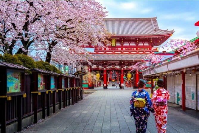 Tokyo City Tour by Private Car & English guide - Key points before you go