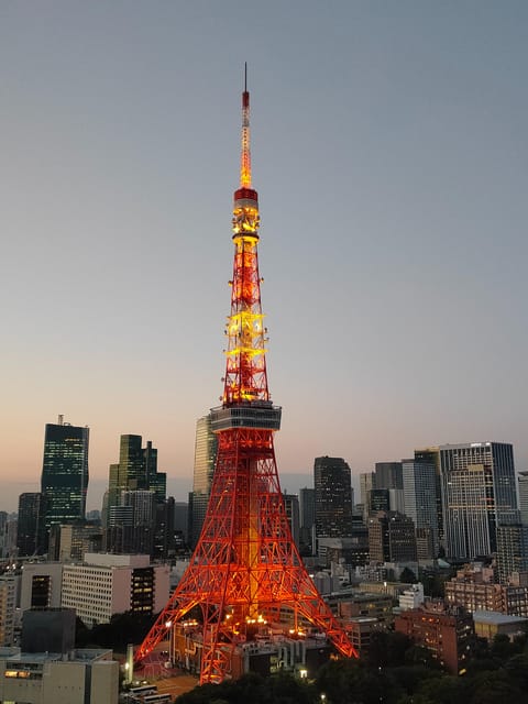 Tokyo: City Tour Tokyo With Driver - Price and logistics: is $377 per group actually good value?