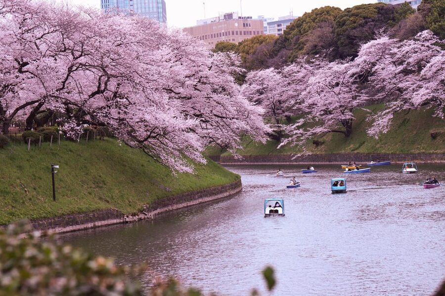 Tokyo: City Tour Tokyo With Driver - Tokyo Skytree Town views and the quick skyline fix