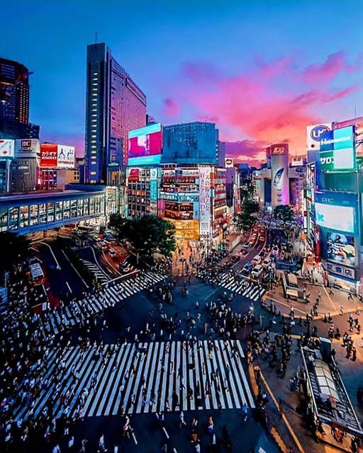Tokyo: City Tour Tokyo With Driver - Imperial Palace area, then Meiji Shrine for a calm reset