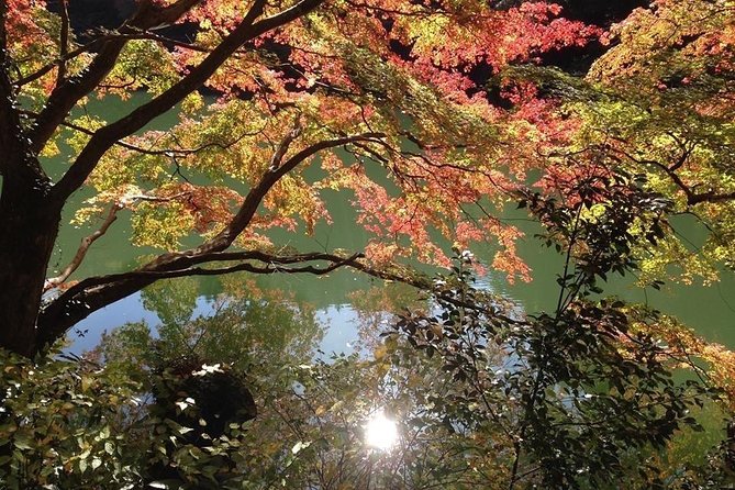 Tokyo Countryside Exploration Private Tour - Getting Out of Tokyo Without Losing Comfort
