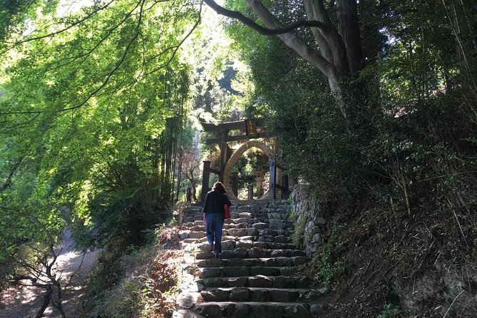 Tokyo Countryside Exploration Private Tour - Torii Pagoda in the Mountains, Xuanzang’s Bones, and the Arima Dam Totoro Drive