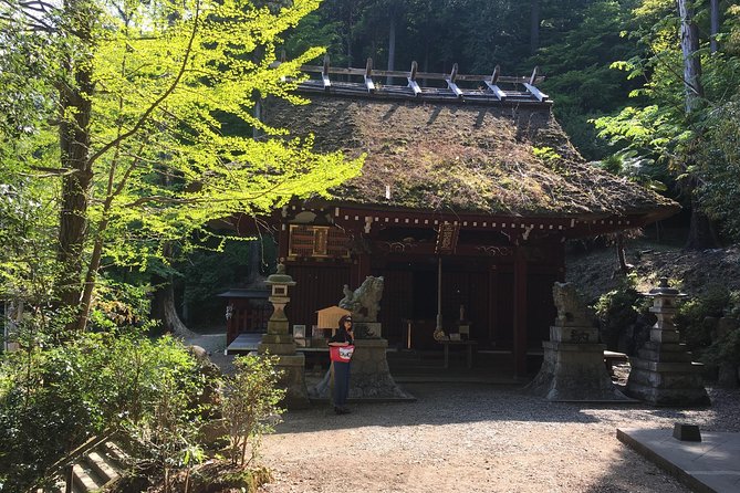 Tokyo Countryside Exploration Private Tour - Price and Value: What You Are Paying For on This Private Day Trip