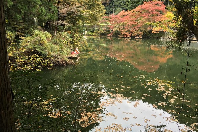 Tokyo Countryside Exploration Private Tour - Hanno Bamboo Temple and Its Deer and Monkey Watchers