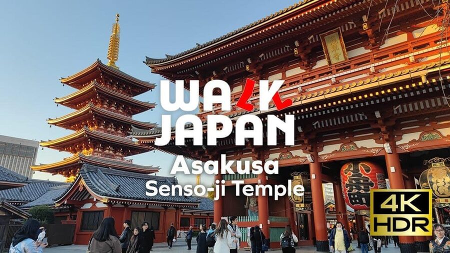 Tokyo: Customizable Day Trip Within Tokyo & English-Driver - How the day balances old Tokyo with modern stops