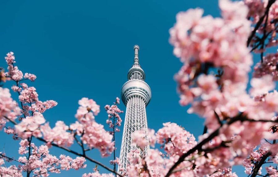 Tokyo: Customizable Day Trip Within Tokyo & English-Driver - Tokyo Skytree: the view is the point, so time it