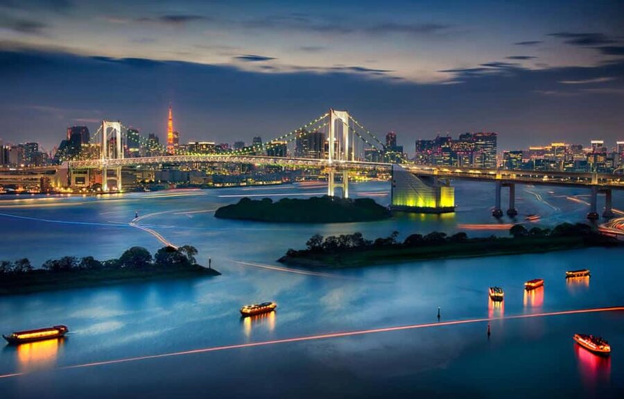 Tokyo: Customizable Day Trip Within Tokyo & English-Driver - Meiji Shrine calm, then Shibuya’s crossing and Hachiko