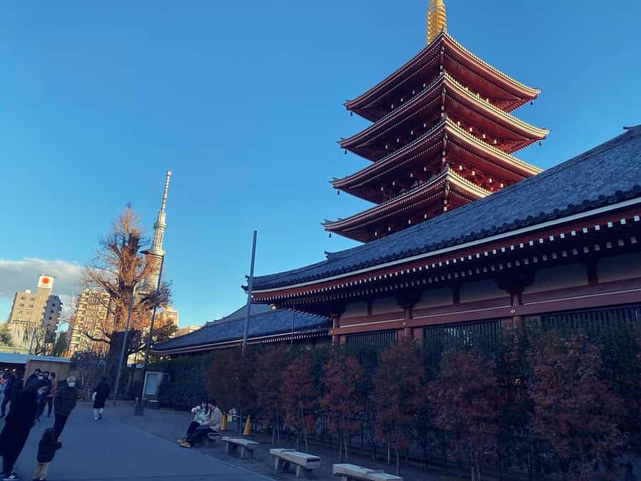 Tokyo: Customizable Day Trip Within Tokyo & Its Attractions - Key highlights and why they matter