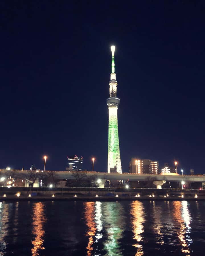 Tokyo: Customizable Day Trip Within Tokyo & Its Attractions - Building your own Tokyo day, with less stress