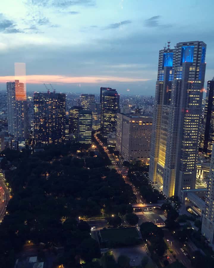 Tokyo: Customizable Day Trip Within Tokyo & Its Attractions - Tokyo Tower, Shibuya, and Roppongi as your day’s “anchor” stops