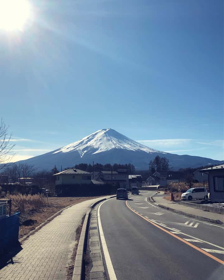 Tokyo: Customizable Day Trip Within Tokyo & Its Attractions - Your driver, photo help, and the translation reality check